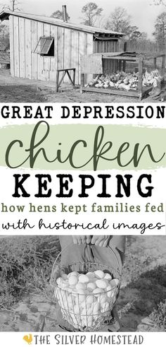 a black and white image of a girl kneeling next to a chicken coop full of white laying hens in the 1930's with text that reads Great Depression chicken keeping how hens kept families fed with historical images Chicken Coop Building Plans, Chicken Coop Ideas, Chicken Flock, Raising Chicks, Coop Ideas, Laying Hens, Victory Garden, Keeping Chickens