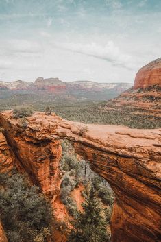 a man standing on top of a cliff next to trees and mountains in the distance