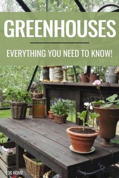 a wooden table with potted plants on top and the words greenhouses everything you need to know