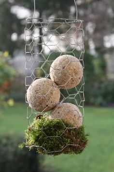 three balls hanging from a wire with moss