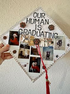 a graduation cap with pictures of dogs on it and the words our human is graduating