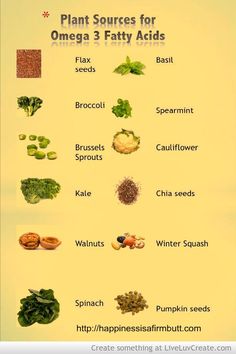 Basil Seeds, Omega 3 Fatty Acids, Lower Cholesterol, Base Foods, Flax Seed, Plant Based Diet