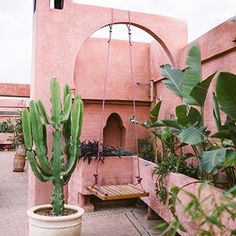 a large cactus in a white pot on a patio with pink walls and hanging planters