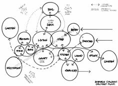 a diagram showing the various stages of an organization