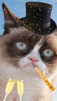 a cat wearing a top hat with confetti on it's nose and two champagne flutes