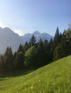 the sun shines on some trees and grass in front of mountain tops with snow - capped peaks