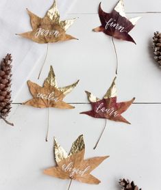 autumn leaves and pine cones are arranged on a white surface with the word love spelled in gold