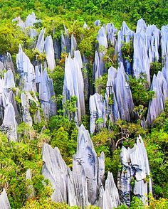 many large rocks in the middle of a forest with trees on each side and bushes growing out of them