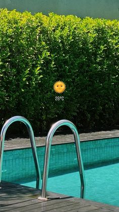 an empty swimming pool next to a green hedge