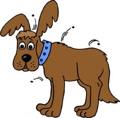 a brown dog wearing a blue collar