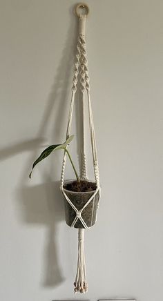 a potted plant hanging from a wall