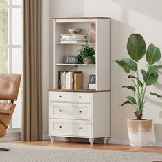 a living room with a chair, book shelf and potted plant