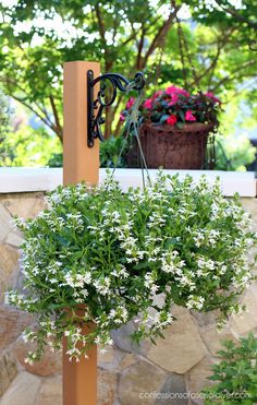 a potted plant is hanging on a post outside with flowers in the foreground