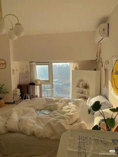 a bed room with a neatly made bed and a plant in the corner near a window