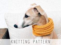 a dog wearing a yellow knitted collar on top of a white pillow with the words knitting pattern written below it