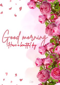 pink roses are in front of a white background with the words good morning have a beautiful day