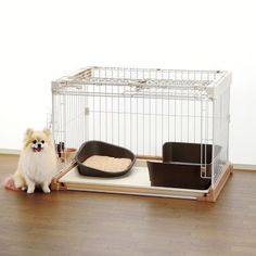 a small white dog sitting on the floor next to a cage with food in it