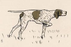 a drawing of a dog with spots on it's back legs walking in the grass