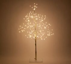 a lighted tree with white lights in the shape of leaves on a clear stand against a light brown background