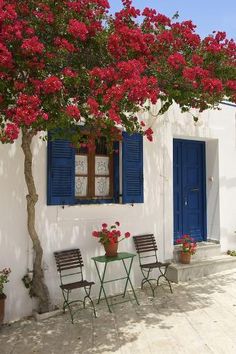 a white house with blue shutters and red flowers on the outside wall, next to two chairs