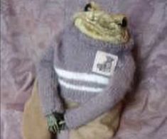 a stuffed frog wearing a sweater and pants on a purple sheet with white trimmings