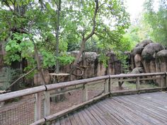 a wooden walkway leads to an area with rocks and trees on both sides that are fenced in