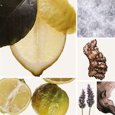 lemons, leaves, and other things are arranged in this collage