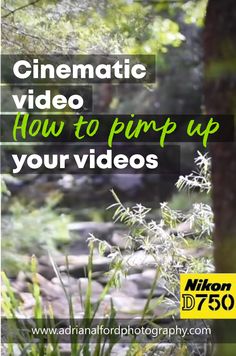 the words cinematic video how to pintrip up your videos are in front of some trees