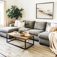 a living room with a couch, coffee table and potted plant