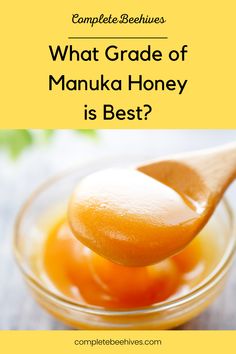 Manuka honey is a rare specialty honey that is prized for it’s delicate floral taste and it’s antibacterial and medicinal properties. You can only get manuka honey from the manuka bush that grows in New Zealand. Honey For Sore Throat, Recipes With Honey, Cough Remedies For Toddlers, Manuka Honey Benefits, Lemon Water Detox, Nutritional Healing, Severe Cough, Toddler Cough Remedies