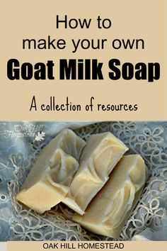 goat milk soap with the words have you ever wanted to make goat milk soap? here's how to get started