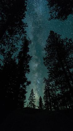 the night sky is filled with stars and trees