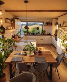 a kitchen filled with lots of plants and wooden tables surrounded by potted planters