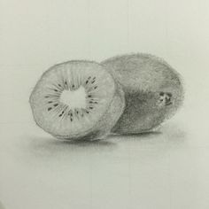 a pencil drawing of a kiwi cut in half