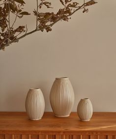 three white vases sitting on top of a wooden table next to a tree branch