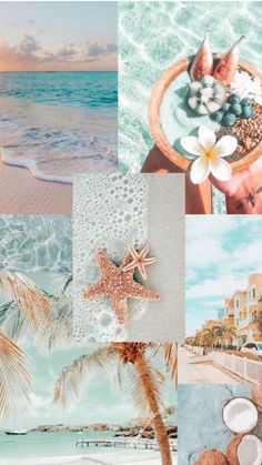 a collage of pictures with coconuts, flowers and starfish on the beach