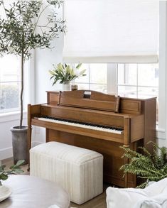 a living room with a piano and potted plant in the corner by the window