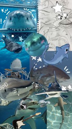 an underwater scene with dolphins and other marine creatures