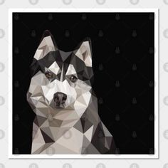 Husky Poly Art Portrait -- Choose from our vast selection of art prints and posters to match with your desired size to make the perfect print or poster. Pick your favorite: Movies, TV Shows, Art, and so much more! Available in mini, small, medium, large, and extra-large depending on the design. For men, women, and children. Perfect for decoration. Poly Art, Art Portrait, Siberian Husky, Pet Dogs, Husky, Extra Large, Batman, Favorite Movies, Tv Shows