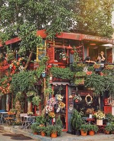 a building with many plants and flowers on the front windows, along with potted trees