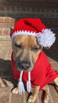 a dog wearing a red sweater and white pom - pom hat sitting on the ground