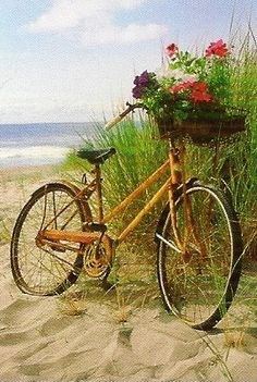 an old bicycle with flowers in the basket is parked on the sand at the beach