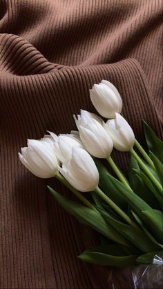 four white tulips in a clear vase on a brown sweater