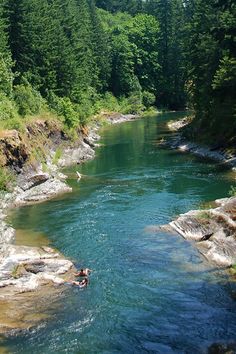 a person swimming in a river surrounded by trees