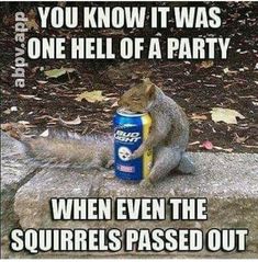 a squirrel sitting on top of a cement slab next to a can of beer that says, you know it was one hell of a party