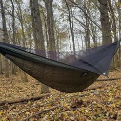 a hammock hanging from a tree in the woods with leaves on the ground