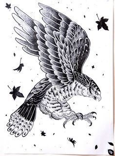 a drawing of an eagle flying through the air with its wings spread out and stars in the background