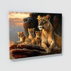 a group of lions sitting on top of a rock