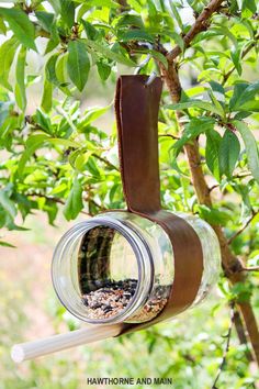 a bird feeder hanging from a tree with the words diy bird feeder above it