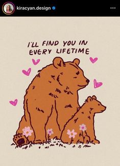 an image of two bears with hearts on the back and i'll find you in every lifetime